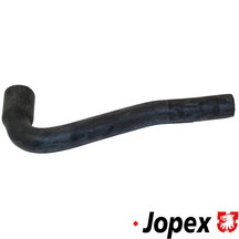 d249fd721f821c54